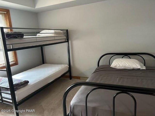 bedroom with carpet floors