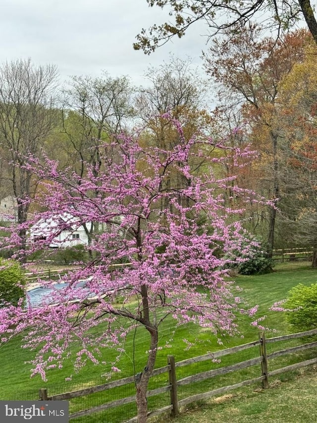 16 Kiloran Wynd Rd, Glenmoore, PA 19343 - view of yard
