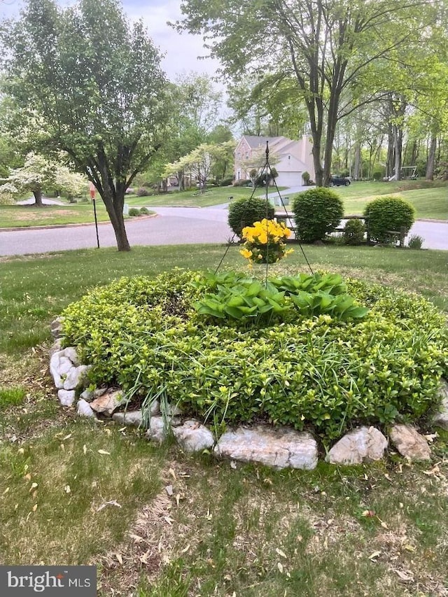 16 Kiloran Wynd Rd, Glenmoore, PA 19343 - view of grassy yard