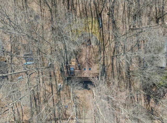 144 Beech Ln, Pocono Lake, PA 18347 - drone / aerial view