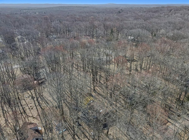 144 Beech Ln, Pocono Lake, PA 18347 - view of property location featuring a forest