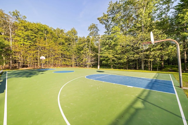 19 Conservancy Ct, Gouldsboro, PA 18424 - view of basketball court with community basketball court