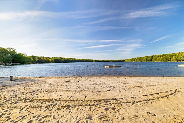 19 Conservancy Ct, Gouldsboro, PA 18424 - water view