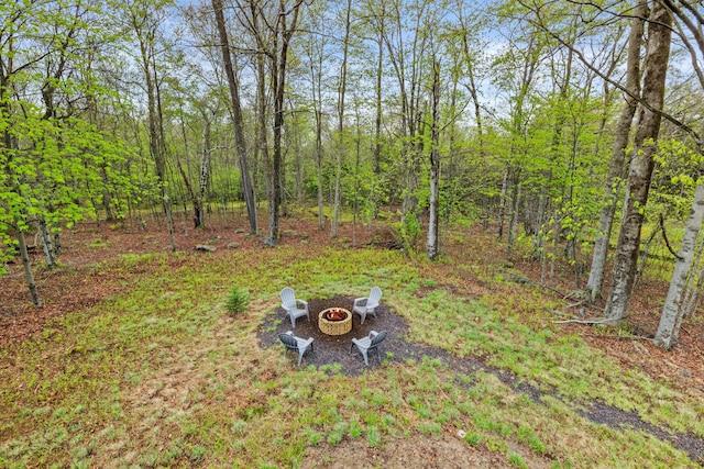 19 Conservancy Ct, Gouldsboro, PA 18424 - view of yard