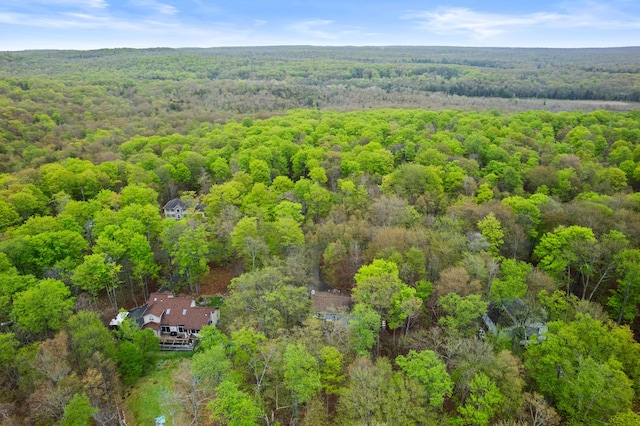 19 Conservancy Ct, Gouldsboro, PA 18424 - bird's eye view of a forest