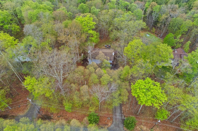 19 Conservancy Ct, Gouldsboro, PA 18424 - bird's eye view