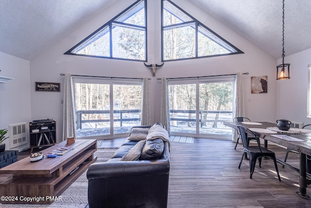 living room with a textured ceiling, wood finished floors, and lofted ceiling