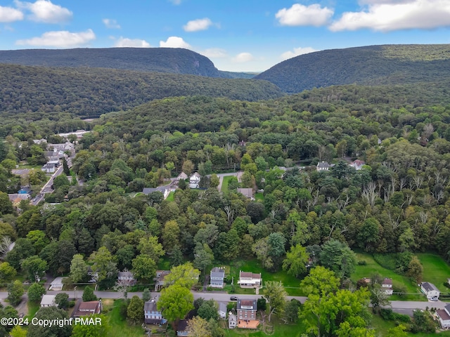 birds eye view of property featuring a mountain view