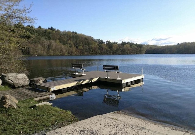 dock area with a wooded view and a water view