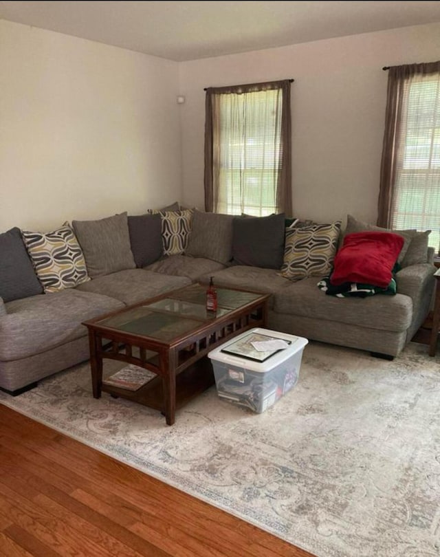 living area with wood finished floors