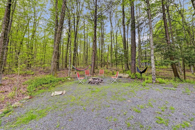 1172 Deer Trail Rd, Pocono Pines, PA 18350 - photo 72