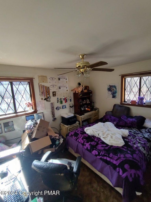 bedroom featuring multiple windows and ceiling fan