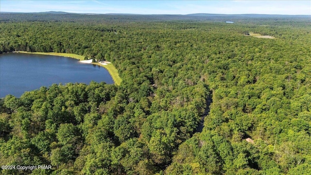 drone / aerial view with a water view and a wooded view