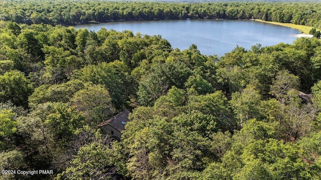 bird's eye view featuring a water view and a wooded view