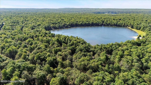 drone / aerial view with a water view and a view of trees