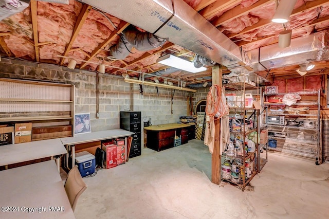 unfinished basement with a workshop area