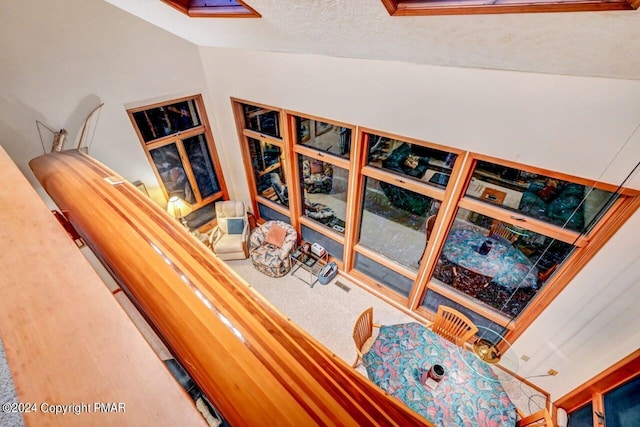 room details with carpet and a textured ceiling