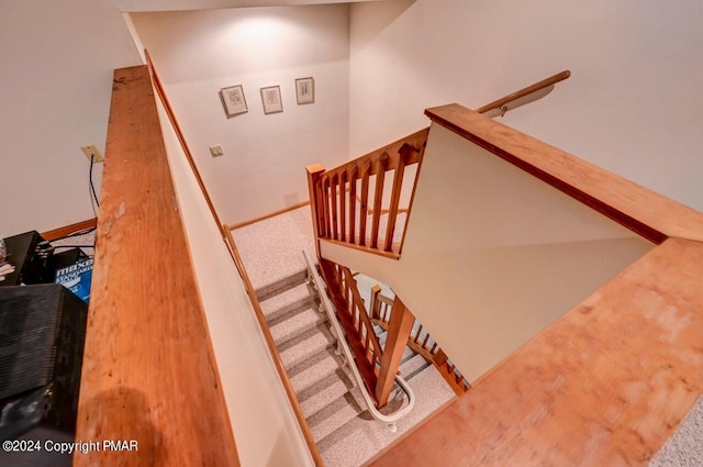 staircase with carpet