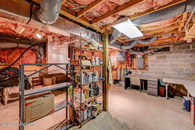 unfinished basement with electric panel