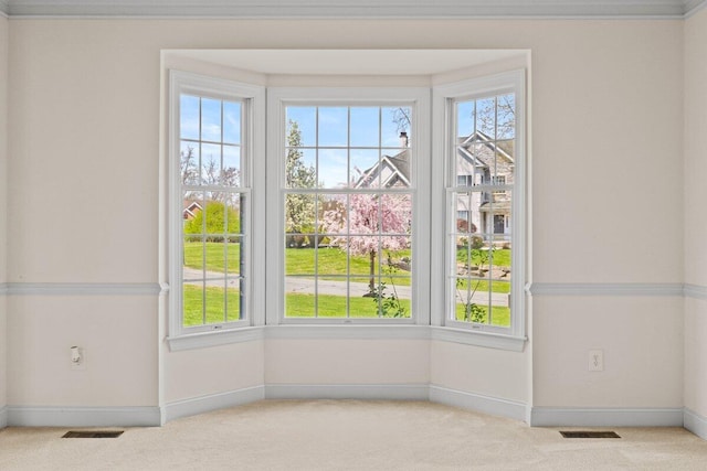 details with carpet floors, baseboards, and visible vents
