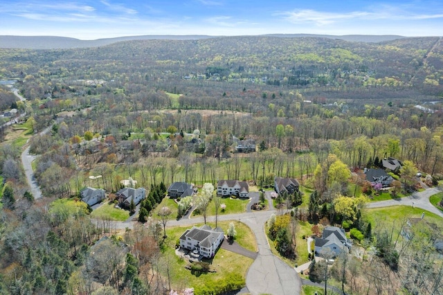 birds eye view of property featuring a view of trees and a mountain view