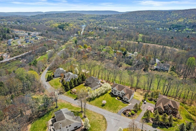 drone / aerial view with a mountain view and a wooded view