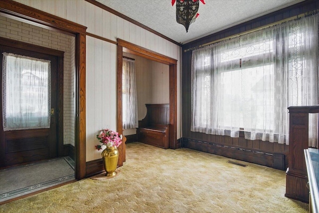 639 Iron St, Lehighton, PA 18235 - spare room featuring crown molding, carpet, wooden walls, and a textured ceiling