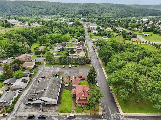 639 Iron St, Lehighton, PA 18235 - aerial view of residential area with a forest