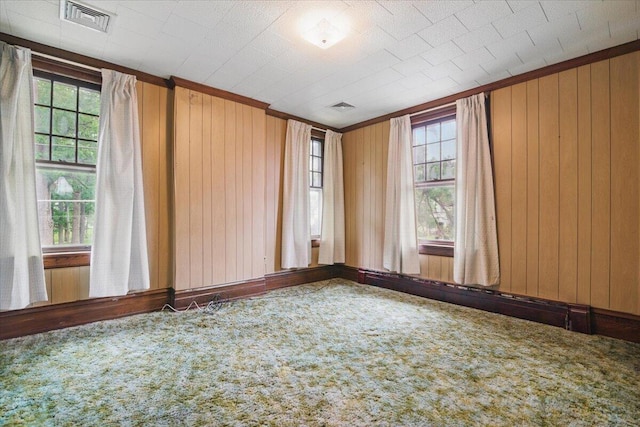 639 Iron St, Lehighton, PA 18235 - empty room featuring carpet flooring and wooden walls
