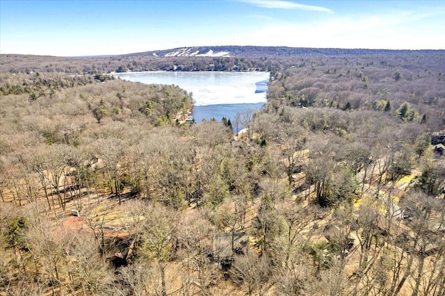 birds eye view of property with a view of trees and a water view