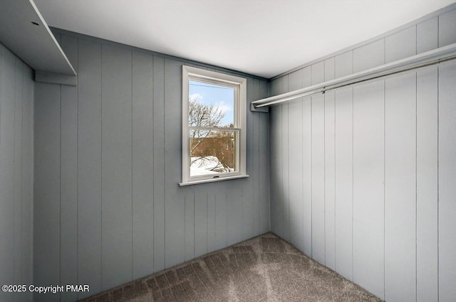 spacious closet featuring carpet floors