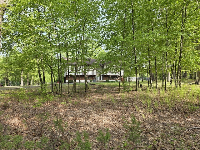 234 Saturn Dr, Bushkill, PA 18324 - view of yard