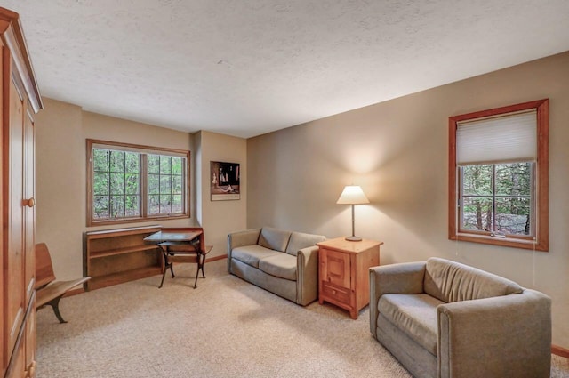 3110 Tall Timber Lake Rd, Pocono Pines, PA 18350 - sitting room with light carpet, a textured ceiling, and baseboards