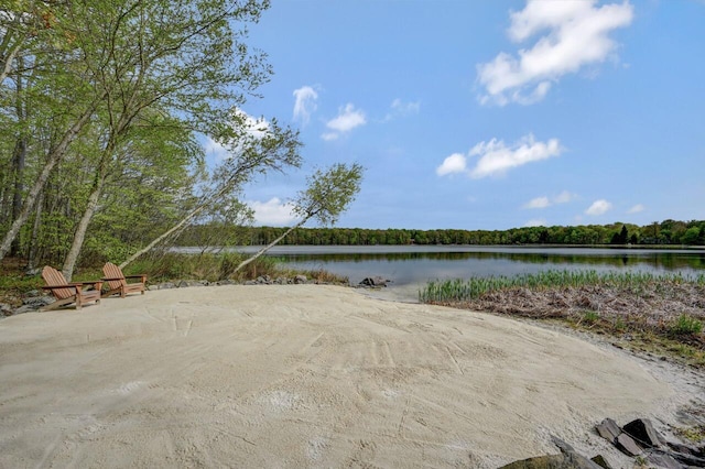 3110 Tall Timber Lake Rd, Pocono Pines, PA 18350 - water view featuring a forest