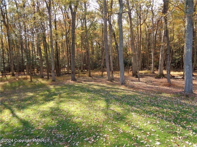 view of yard featuring a view of trees