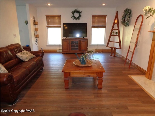 living room with dark wood-type flooring, a wealth of natural light, and baseboards