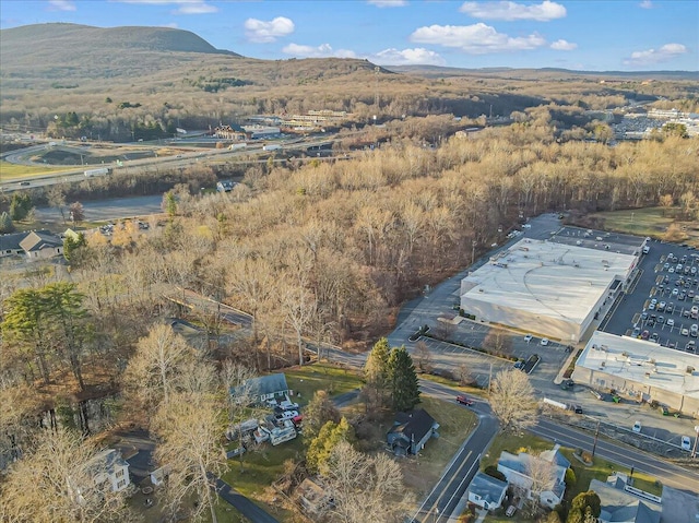 175 Alger Ave, Tannersville, PA 18372 - photo 34