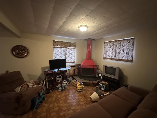 living area with a wood stove