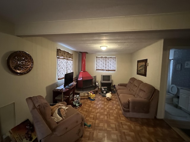 living room featuring a wood stove