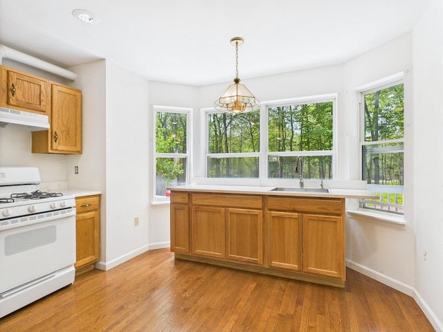 205 Beech Ln, Pocono Lake, PA 18347