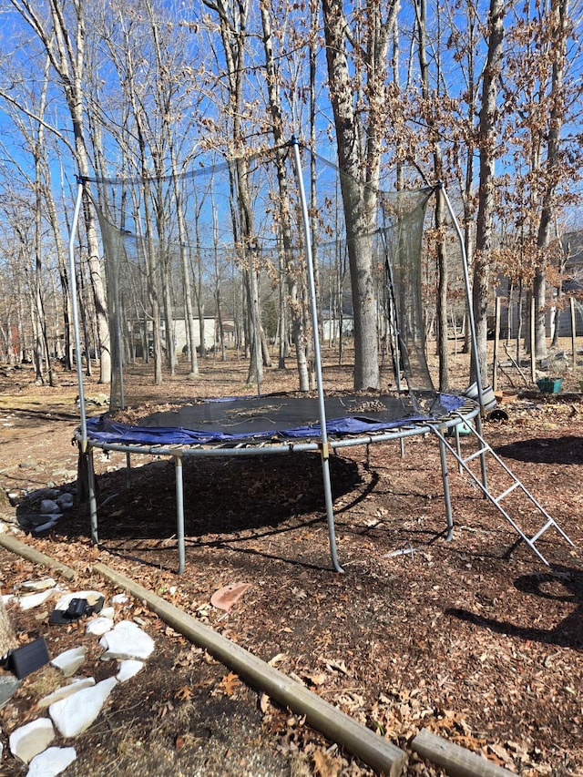 view of yard with a trampoline