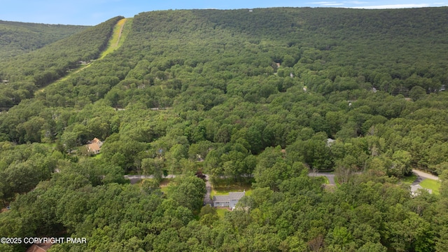 219 Matterhorn Dr, Effort, PA 18330 - photo 33