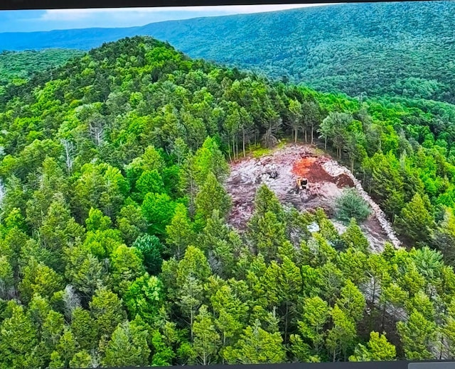 COLine Forest Dr, Kunkletown, PA 18058