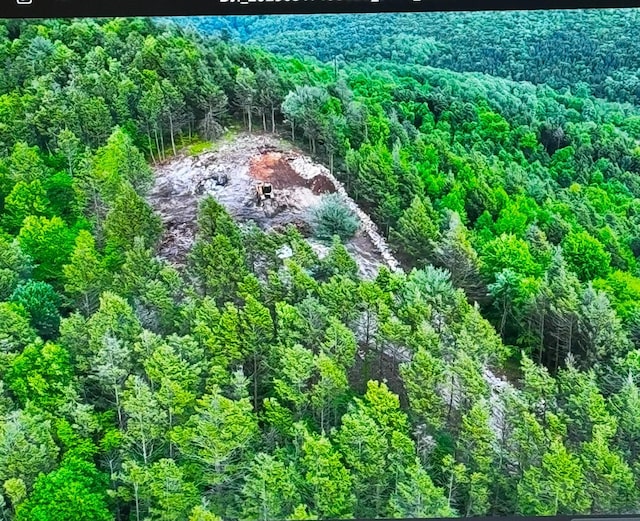 COLine Forest Dr, Kunkletown, PA 18058