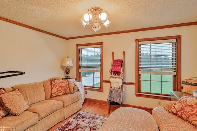 366 Winter Springs Rd, Nazareth, PA 18064 - photo 13