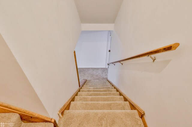 366 Winter Springs Rd, Nazareth, PA 18064 - photo 85