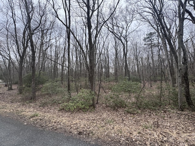 3 Tioga Dr, Kunkletown, PA 18058 - photo 3
