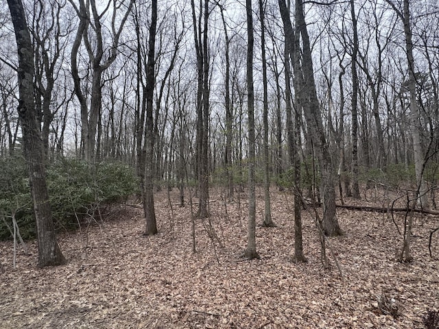 3 Tioga Dr, Kunkletown, PA 18058 - photo 4