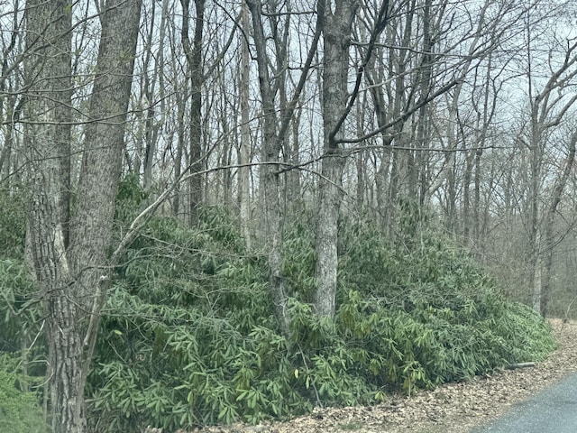 3 Tioga Dr, Kunkletown, PA 18058 - photo 2