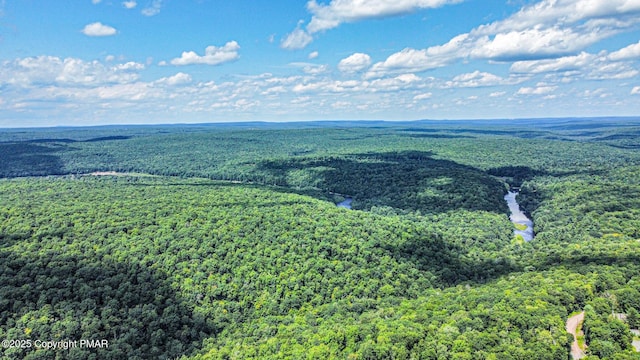 birds eye view of property featuring a wooded view